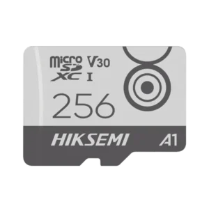 Memoria MicroSD Clase 10 de 256 GB Especializada P
