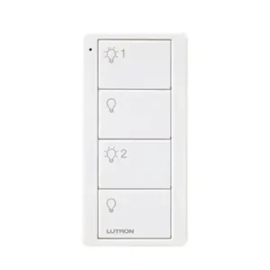 Control remoto PICO 4 botones  2 grupos de encende