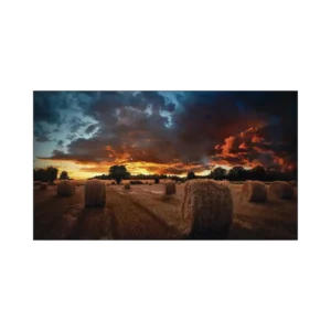 Pantalla Profesional de 46in para Video Wall, Full