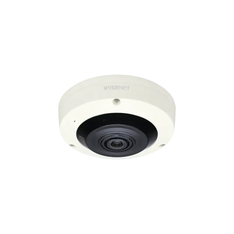 Fisheye IP Interior 6 Megapixel - WDR 120dB - IR 15m - PTZ D