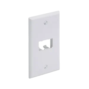 Placa de Pared Vertical Clásica, Salida Para 2 Puertos MiniC
