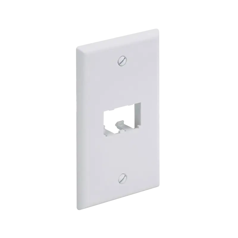 Placa de Pared Vertical Clásica, Salida Para 2 Puertos MiniC